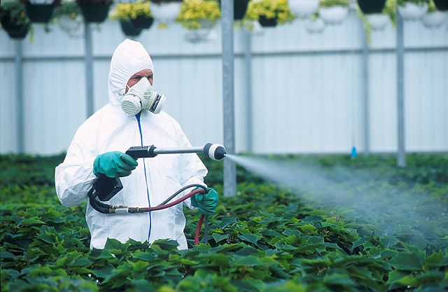 Nanopesticides: új megoldás vagy új fenyegetés? 