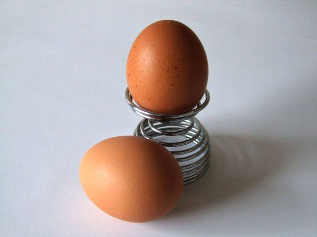 A tojás étrendjének hátrányai