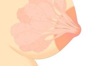 A férfiaknál agresszívabb a mellrák, mint a nőknél – Semmelweis Médiasarok